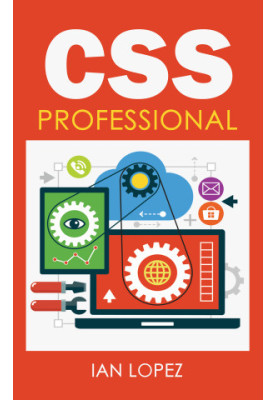 CSS Professional