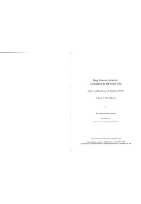 Busy Lives at Amarna: Excavations in the Main City: Grid 12 and the House of Ranefer, N49.18: Volume 2. The Objects, with con