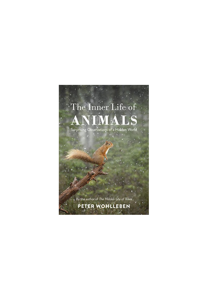The Inner Life of Animals: Surprising Observations of a Hidden World