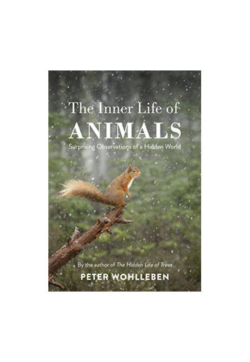 The Inner Life of Animals: Surprising Observations of a Hidden World