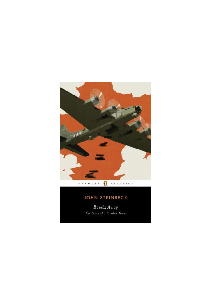 Bombs Away: The Story of a Bomber Team