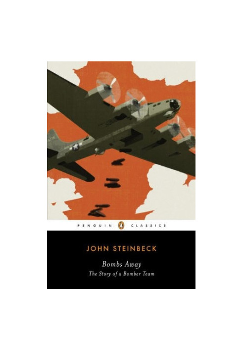 Bombs Away: The Story of a Bomber Team