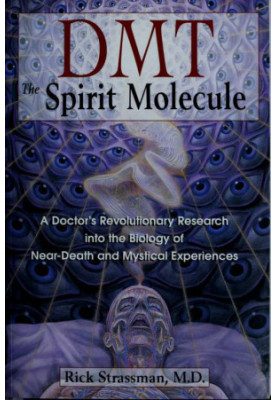 DMT : the spirit molecule  a doctor's revolutionary research into the biology of near-death and mystical experiences