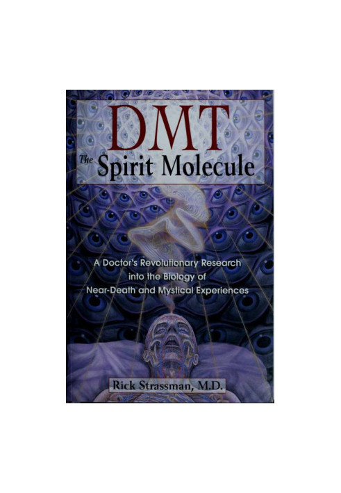 DMT : the spirit molecule  a doctor's revolutionary research into the biology of near-death and mystical experiences