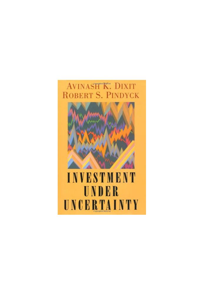 Investment under uncertainty