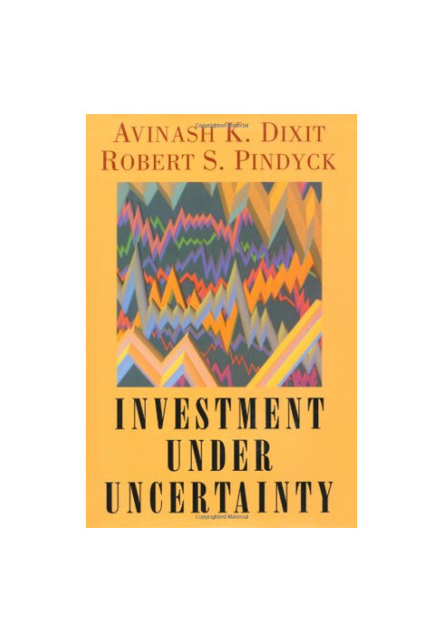 Investment under uncertainty