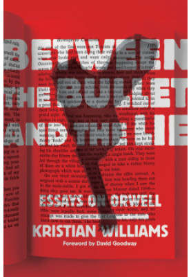 Between the Bullet and the Lie: Essays on Orwell