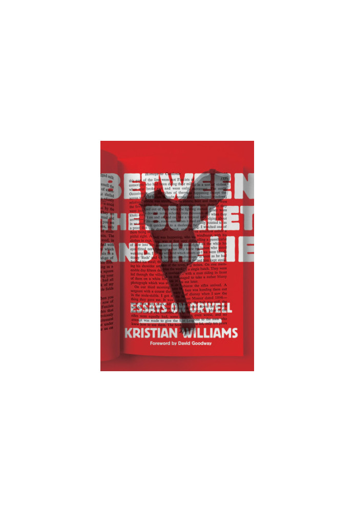 Between the Bullet and the Lie: Essays on Orwell