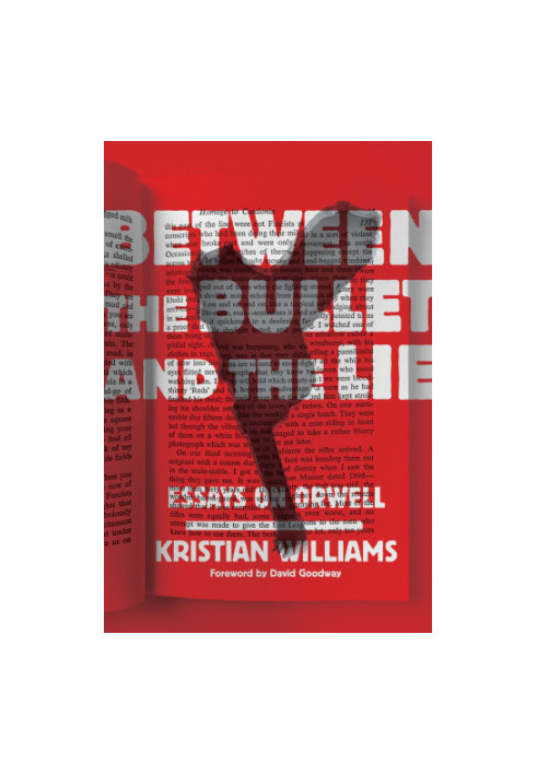 Between the Bullet and the Lie: Essays on Orwell