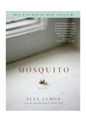 Mosquito