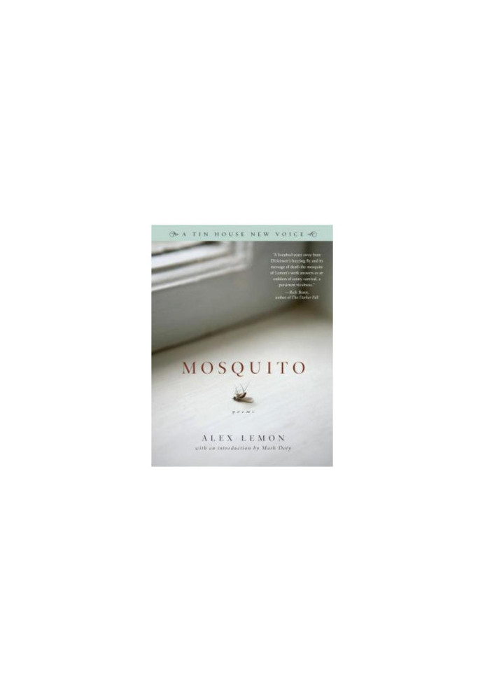 Mosquito