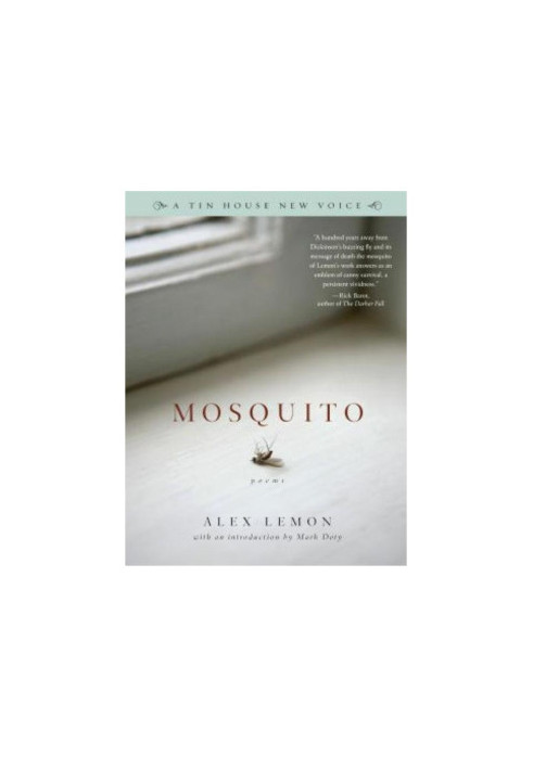 Mosquito