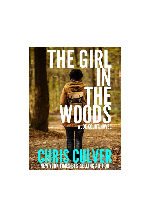 Joe Court 02-The Girl in the Woods