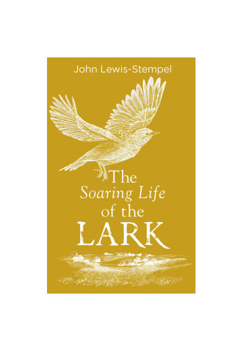 The Soaring Life of the Lark