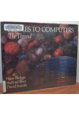 Pebbles to Computers: The Thread