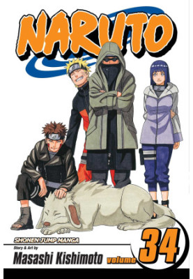Naruto, Vol. 34: The Reunion