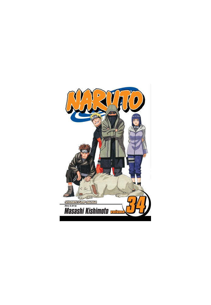 Naruto, Vol. 34: The Reunion