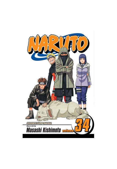 Naruto, Vol. 34: The Reunion