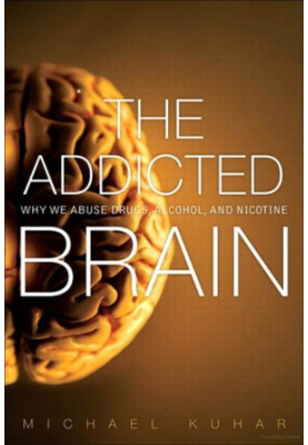 The Addicted Brain