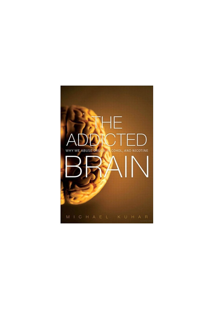 The Addicted Brain
