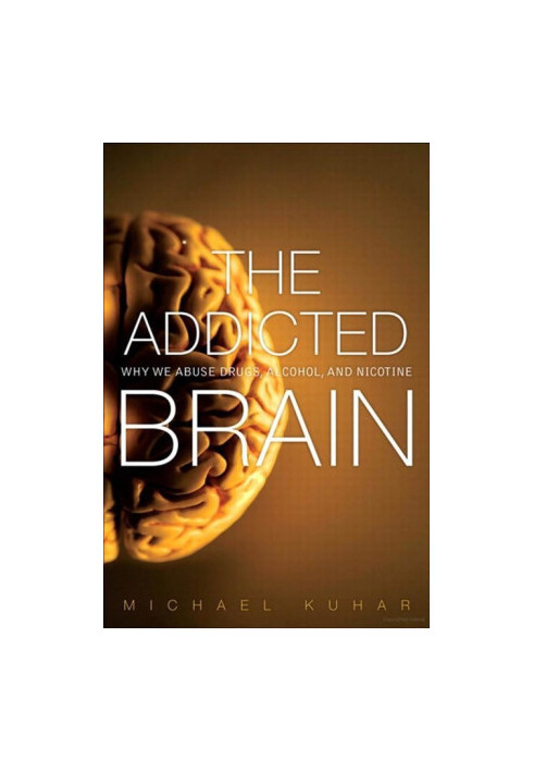 The Addicted Brain