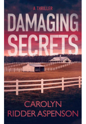 Damaging Secrets (Detective Rachel Ryder 1)