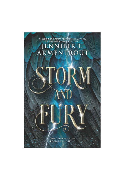 Storm and Fury
