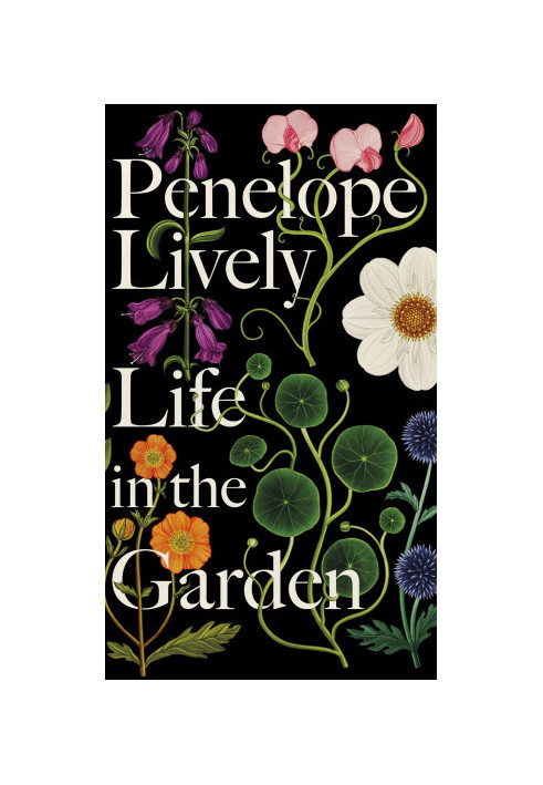 Life in the Garden