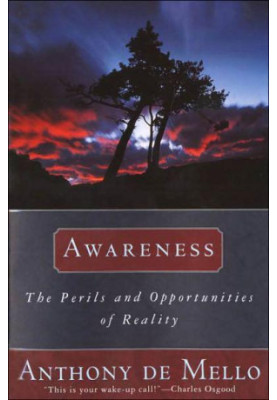 Awareness: The Perils and Opportunities of Reality