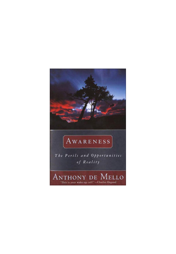 Awareness: The Perils and Opportunities of Reality