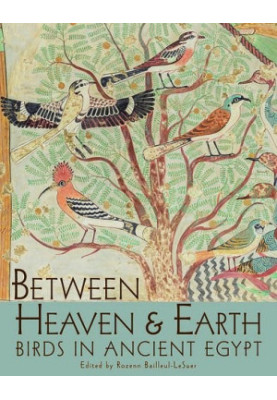 Between Heaven and Earth: Birds in Ancient Egypt