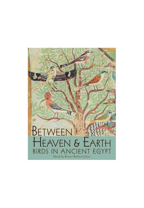 Between Heaven and Earth: Birds in Ancient Egypt