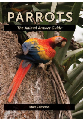Parrots: The Animal Answer Guide