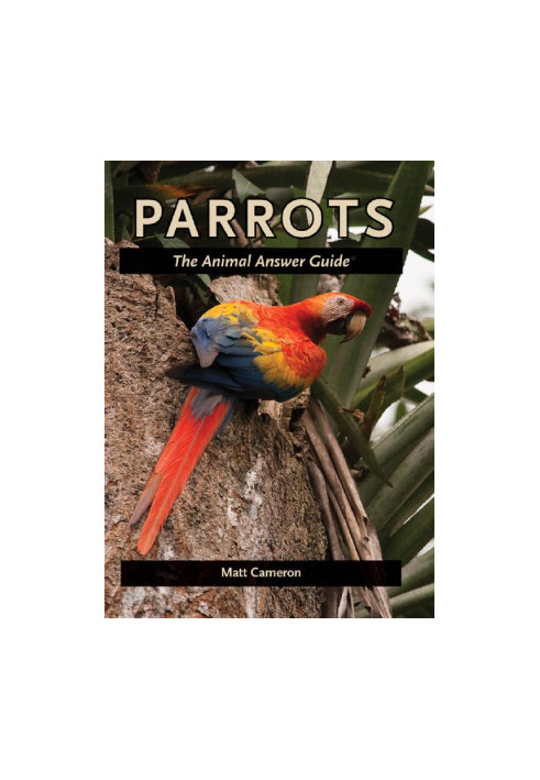 Parrots: The Animal Answer Guide