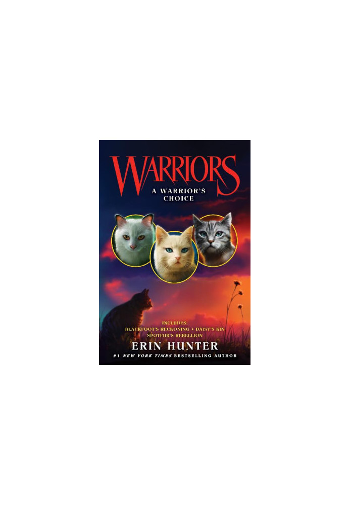 19-21 Warriors: A Warrior's Choice