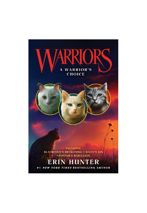 19-21 Warriors: A Warrior's Choice