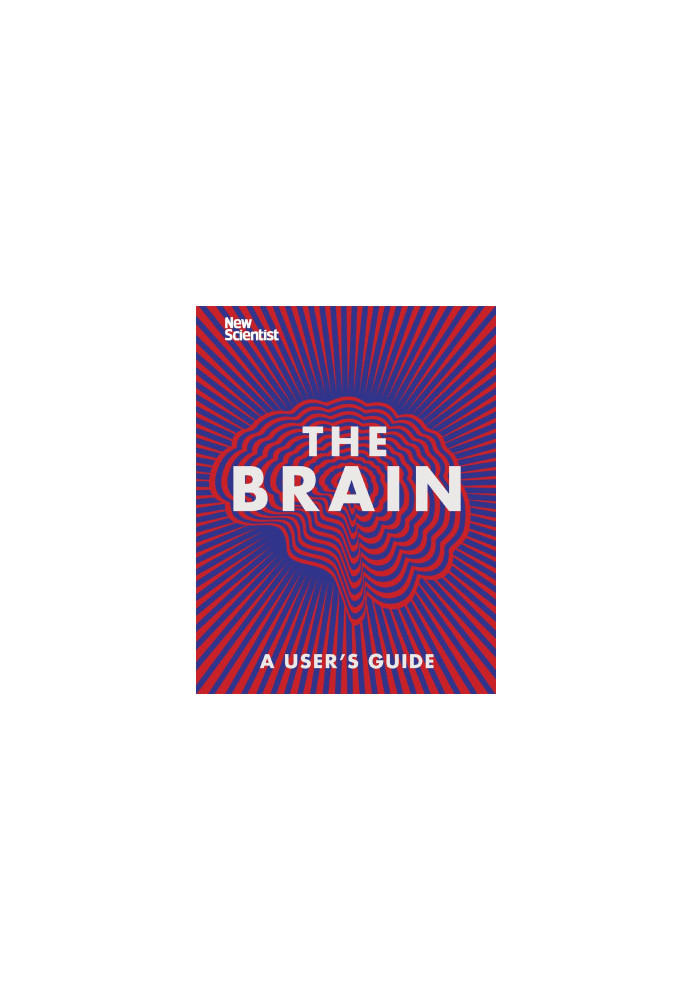 The Brain : Everything You Need to Know