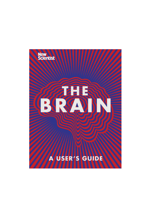 The Brain : Everything You Need to Know