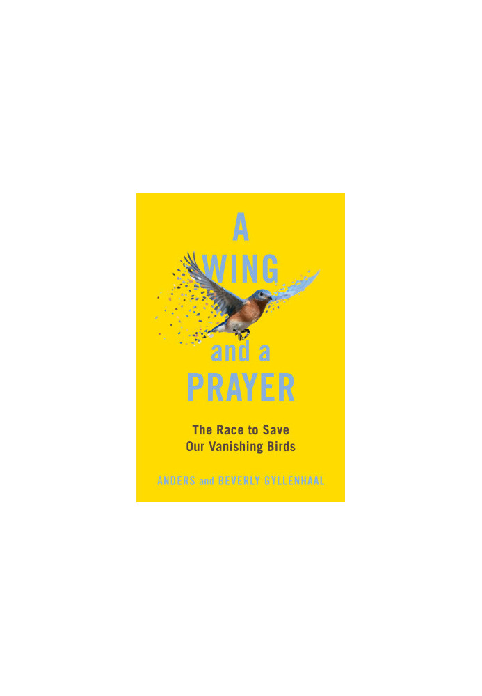 A Wing and a Prayer