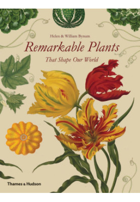 Remarkable Plants That Shape Our World