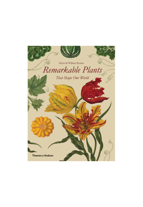 Remarkable Plants That Shape Our World
