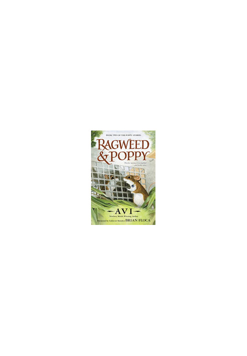Ragweed and Poppy