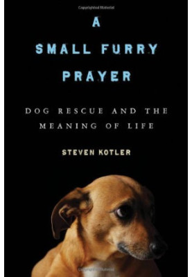 A Small Furry Prayer - Dog Rescue and the Meaning of Life