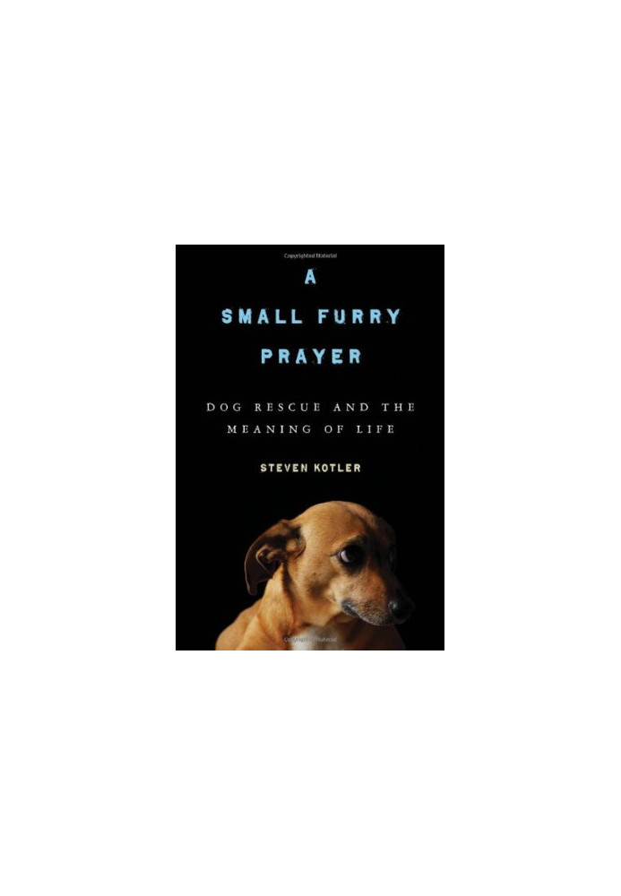 A Small Furry Prayer - Dog Rescue and the Meaning of Life