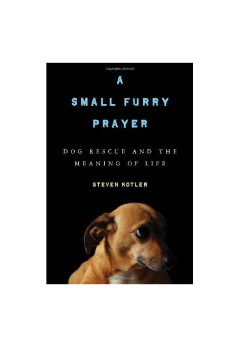 A Small Furry Prayer - Dog Rescue and the Meaning of Life