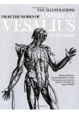 The illustrations from the works of Andreas Vesalius of Brussels : with annotations and translations, a discussion of the pla