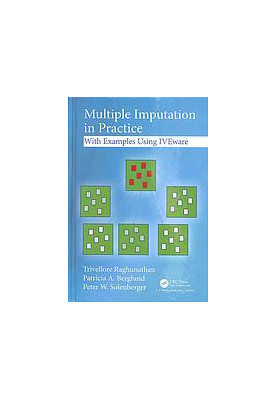 Multiple Imputation in Practice Using IVEware