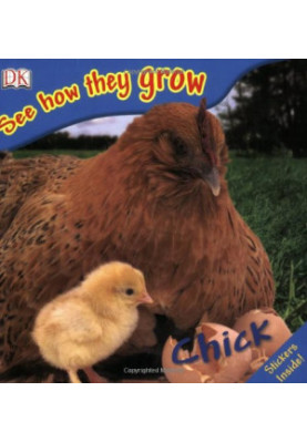 Chick