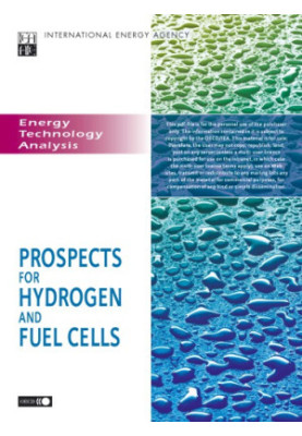 Prospects for hydrogen and fuel Cells.