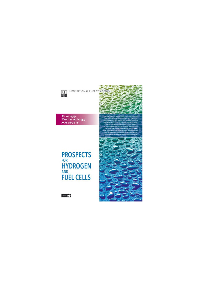 Prospects for hydrogen and fuel Cells.